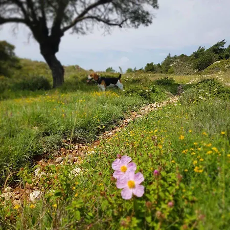 Vendégház Rodosranch *